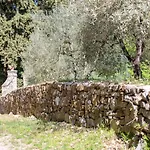 Casa Degli Ulivi - With Swimming Pool Σπίτι διακοπών