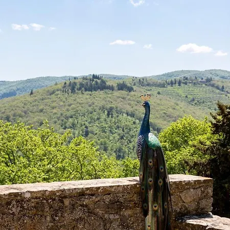Holiday home Casa Degli Ulivi - With Swimming Pool *