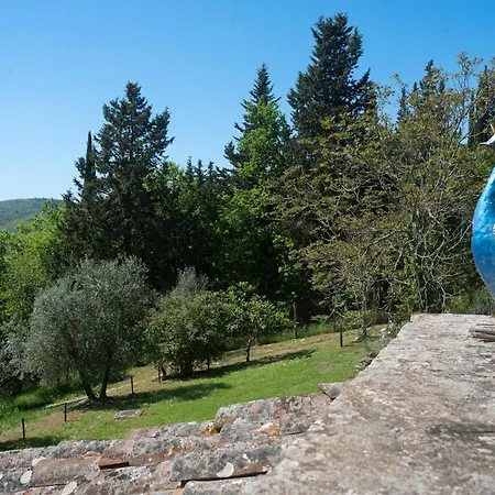 Casa Degli Ulivi - With Swimming Pool Castellina in Chianti