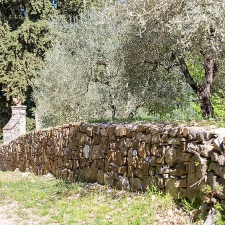 Casa Degli Ulivi - With Swimming Pool Ferienhaus
