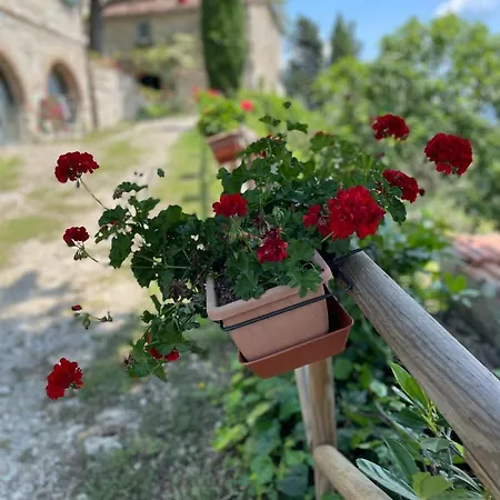 Casa Degli Ulivi - With Swimming Pool Holiday home *