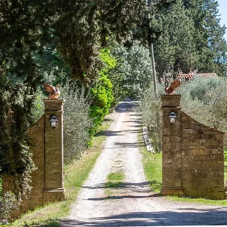 Ferienhaus Casa Degli Ulivi - With Swimming Pool *