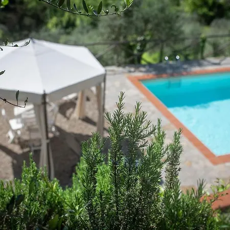 Ferienhaus Casa Degli Ulivi - With Swimming Pool *