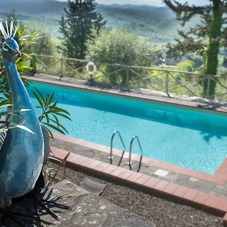 Casa Degli Ulivi - With Swimming Pool * Castellina in Chianti