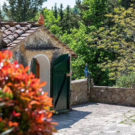 Casa Degli Ulivi - With Swimming Pool *