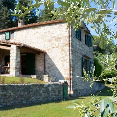 Casa Degli Ulivi - With Swimming Pool Castellina in Chianti