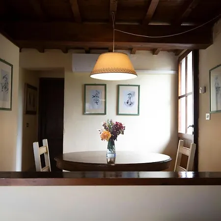 Casa Degli Ulivi - With Swimming Pool Holiday home Castellina in Chianti