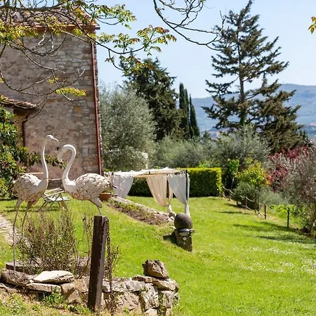 Casa Degli Ulivi - With Swimming Pool *